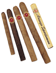 Arango Sportsman Cigar... Mega Buy